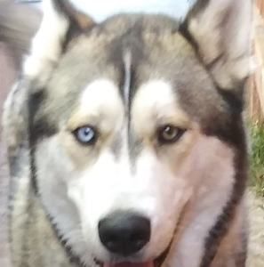 Meet your Posher, Margarita